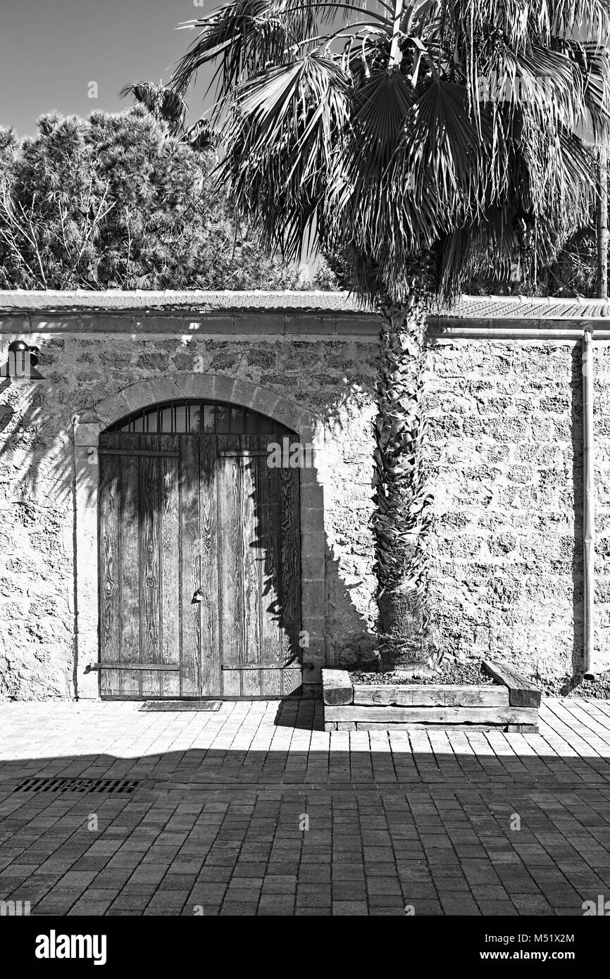 Mur avec porte et Palm Tree Banque D'Images