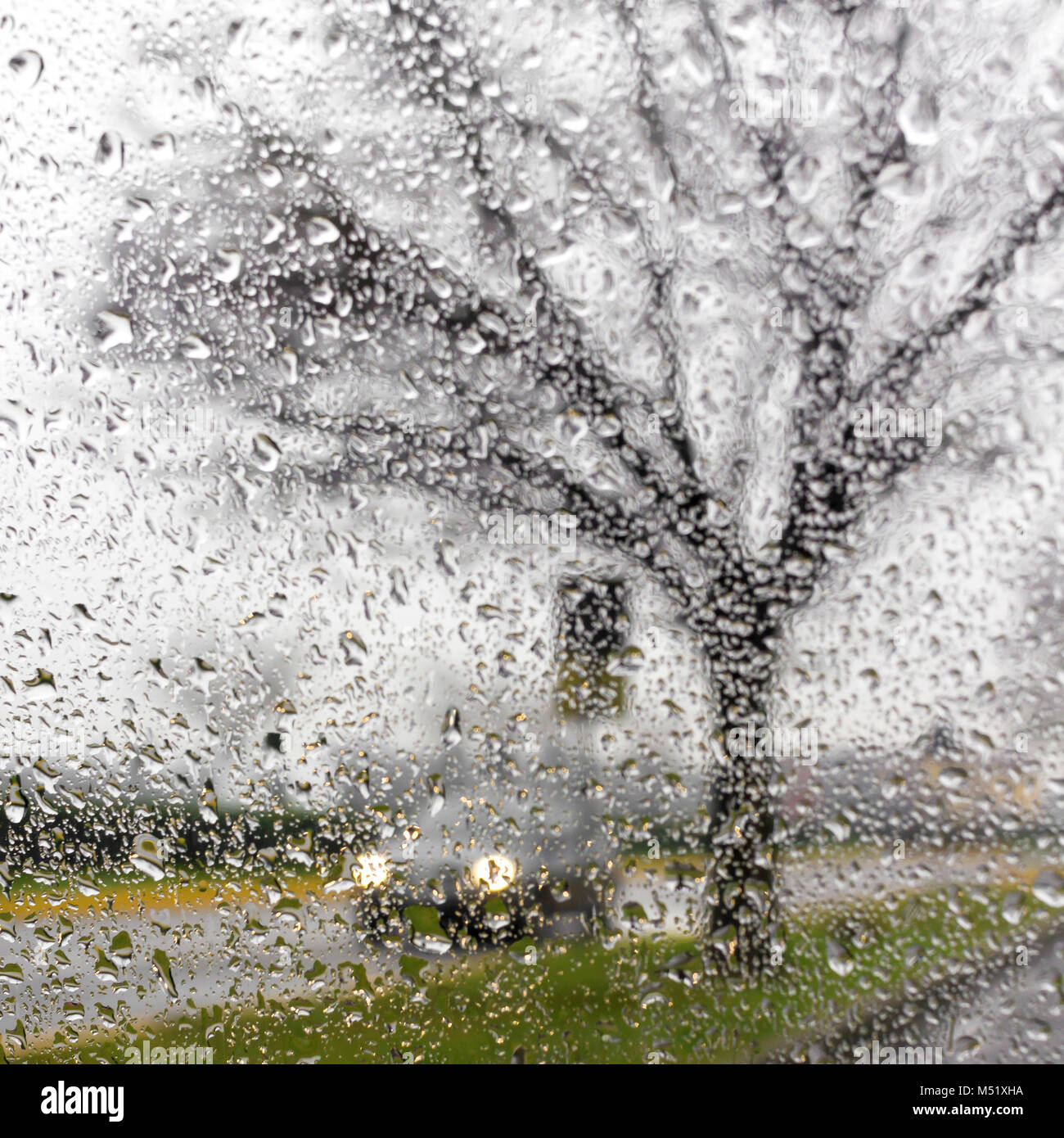 L'intérieur de la voiture quand il pleut Banque D'Images