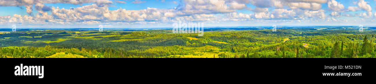 La forêt de conifères et de prairies. Panorama Banque D'Images