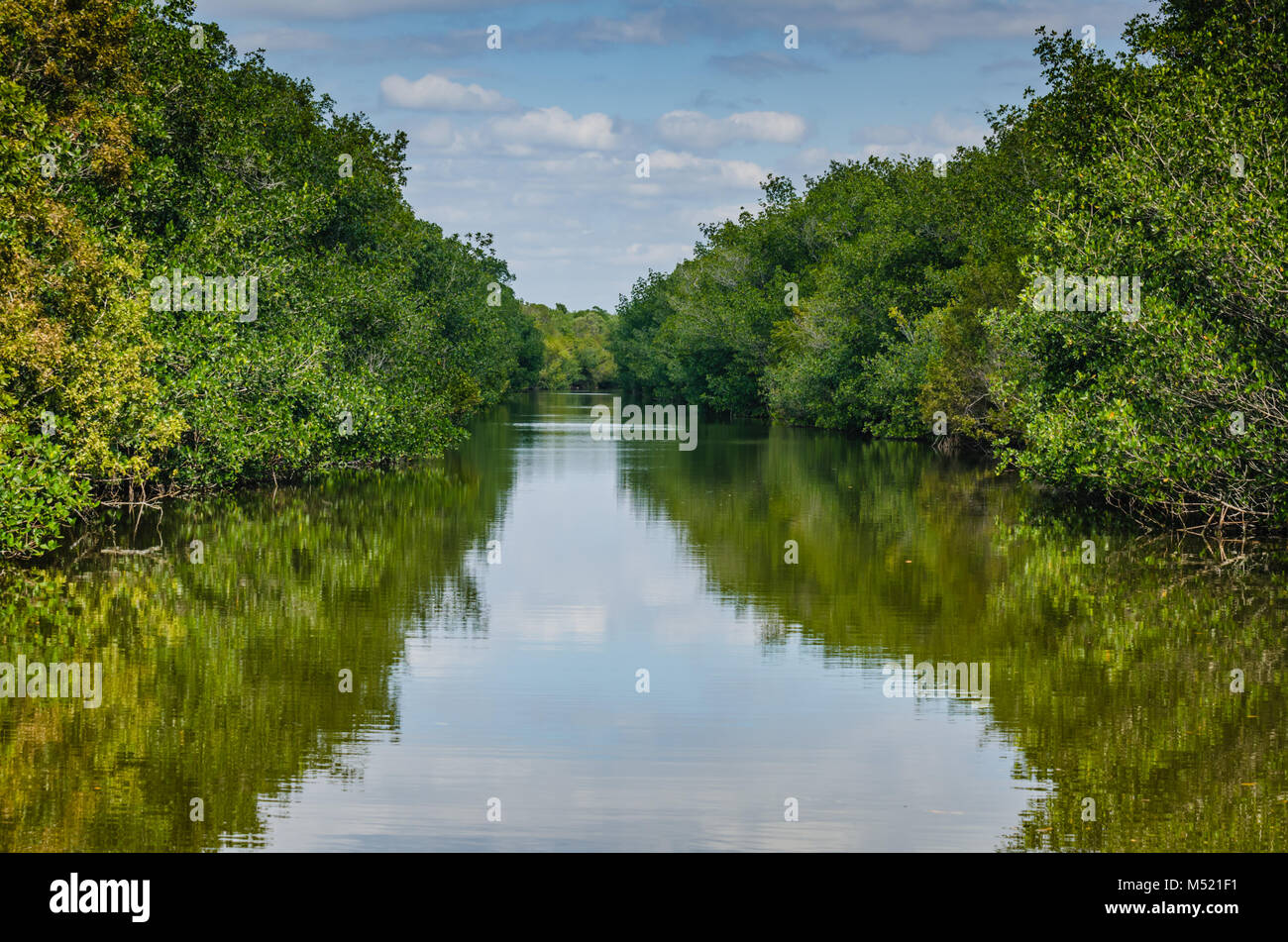 Ciel et arbres se reflétant sur le lagon à Parc national de Biscayne. Banque D'Images