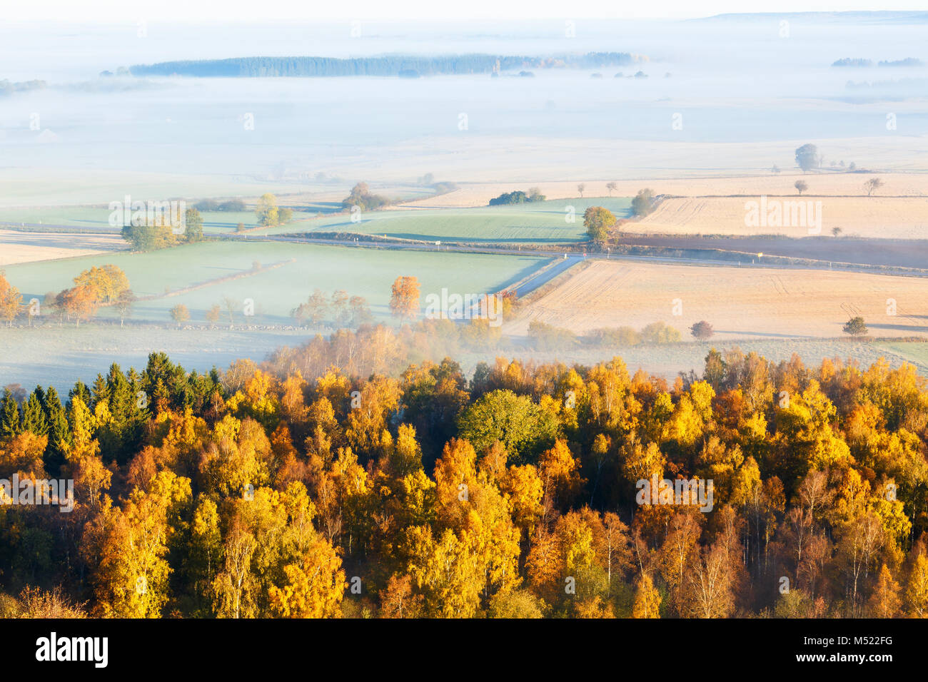 Automne brouillard sur un paysage rural avec un franchissement routier Banque D'Images