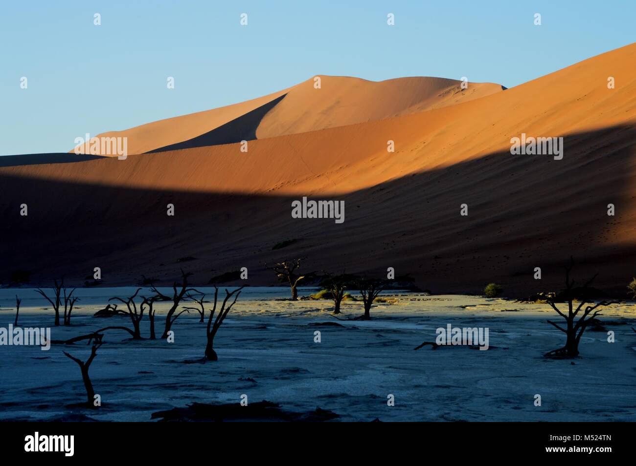 Sossuscvlei surréaliste désert paysage désert, Namibie Banque D'Images