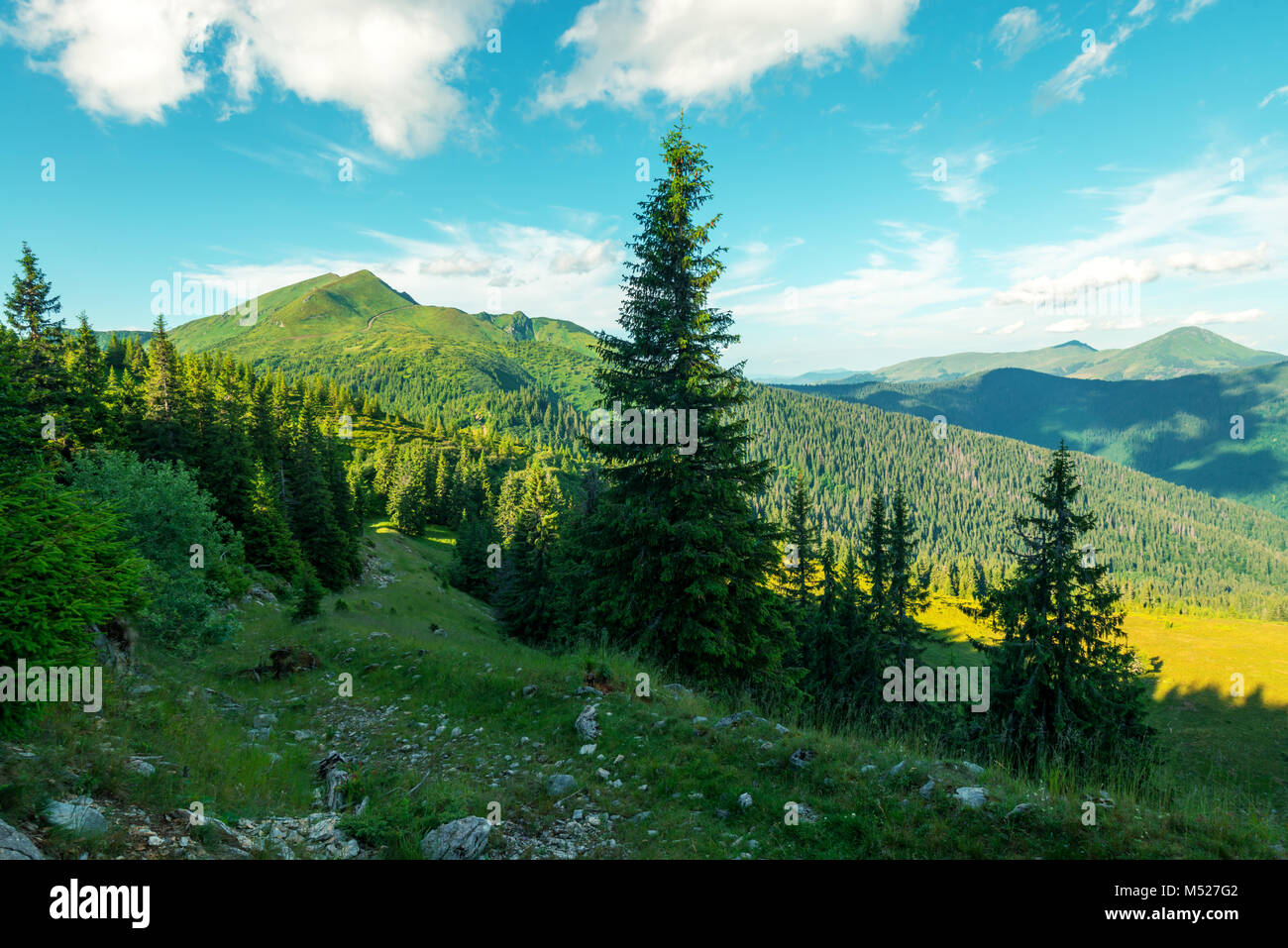 Paysage d'été pittoresque en journée ensoleillée Banque D'Images