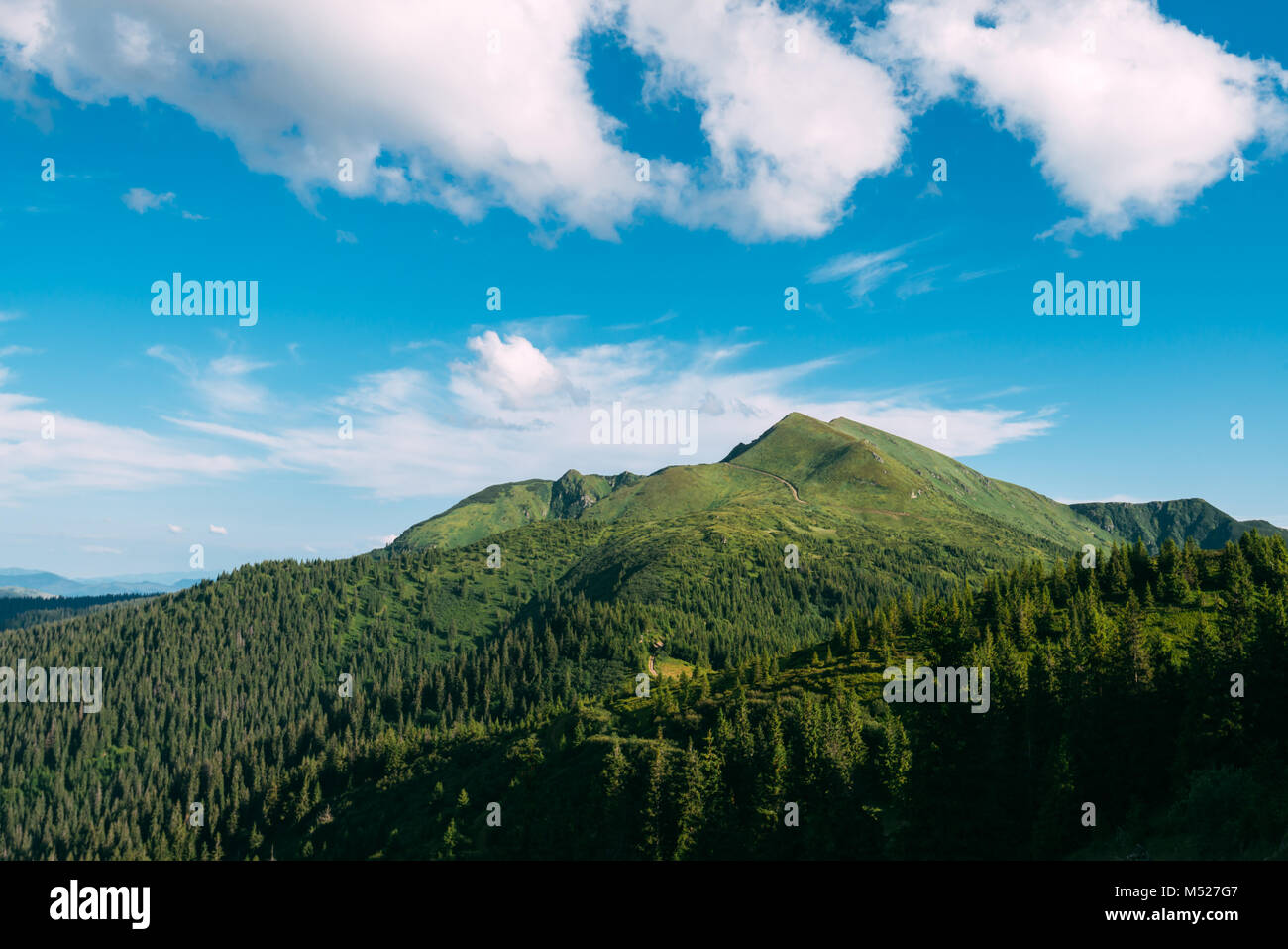 Paysage d'été pittoresque en journée ensoleillée Banque D'Images