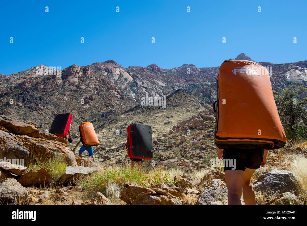 Quatre alpinistes transportant des tapis d'entraînement dans le Massif de Brandberg par temps ensoleillé, la région d'Erongo, Namibie Banque D'Images