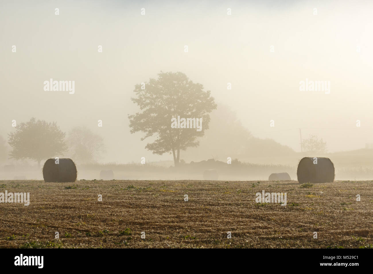 Paysage rural avec brouillard d'automne et les balles rondes Banque D'Images