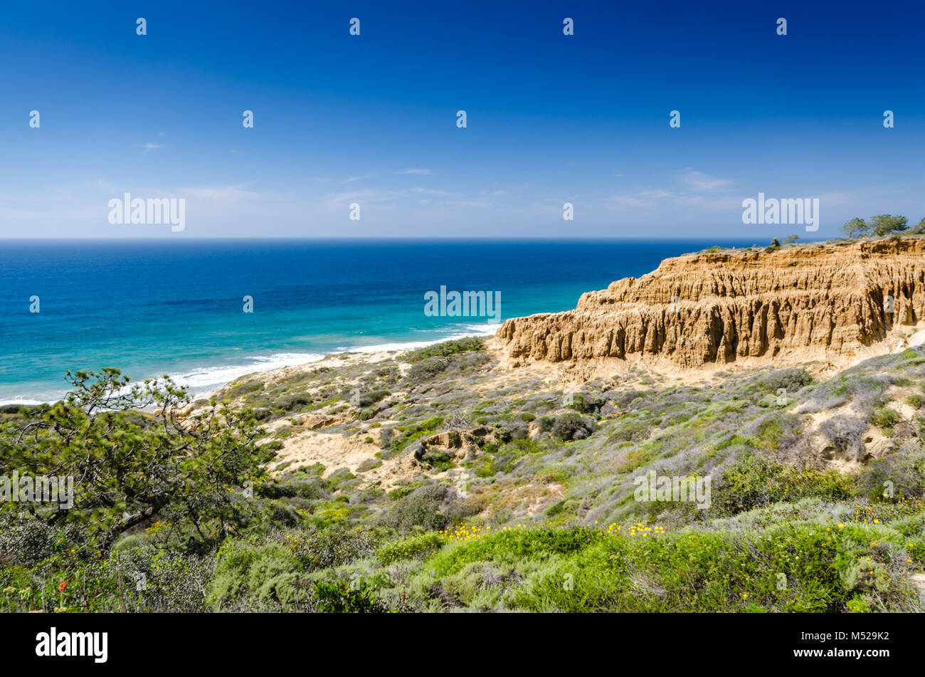 Torrey Pines State Parc Naturel, situé à l'intérieur des limites de la ville de San Diego, reste l'un des plus sauvages étendues de terre sur notre authenticité de la Californie du Sud Banque D'Images