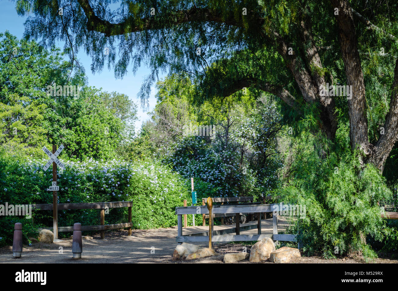 La Direction Tustin Trail est une piste de 2,8 mile accessible facile à Orange County, en Californie, qui dispose de magnifiques fleurs sauvages et est bon pour tous les niveaux. Banque D'Images