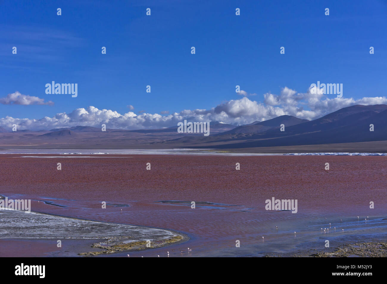 Red Lake, la Bolivie, l'Amérique du Sud Banque D'Images