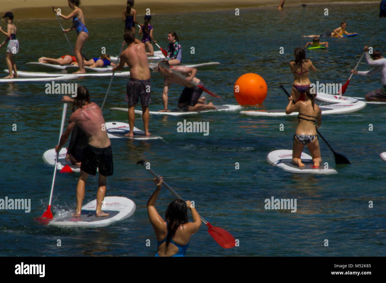 Sydney, Australie : groupe de personnes ayant l'amusement avec paddle surf Banque D'Images