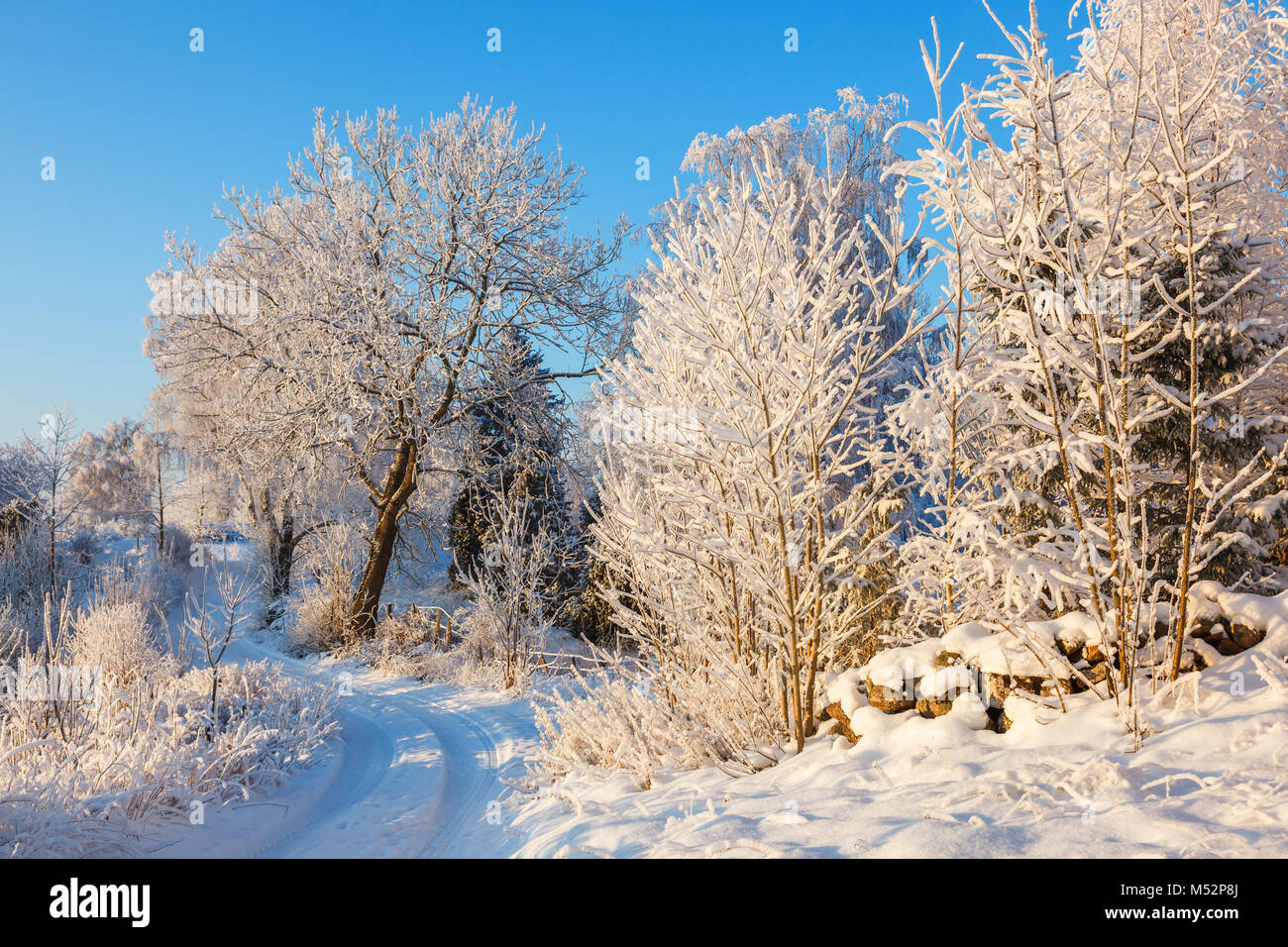 Paysage hivernal idyllique avec une route sinueuse Banque D'Images