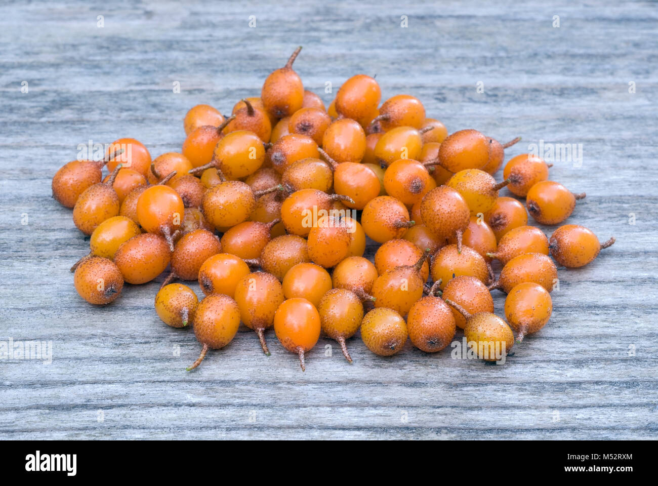 L'argousier (Hippophae rhamnoides) massothérapeutes sur table en bois. Banque D'Images