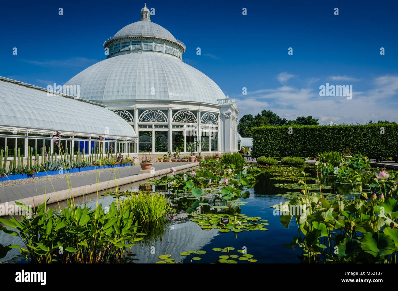 L'Enid A. Haupt Conservatory est une serre au Jardin Botanique de New York dans le Bronx, New York, le musée vivant, établissement d'enseignement, et p Banque D'Images