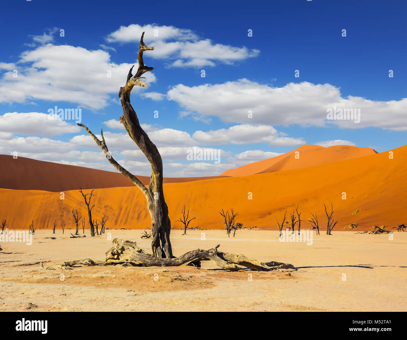 La partie inférieure de dry lake Banque D'Images