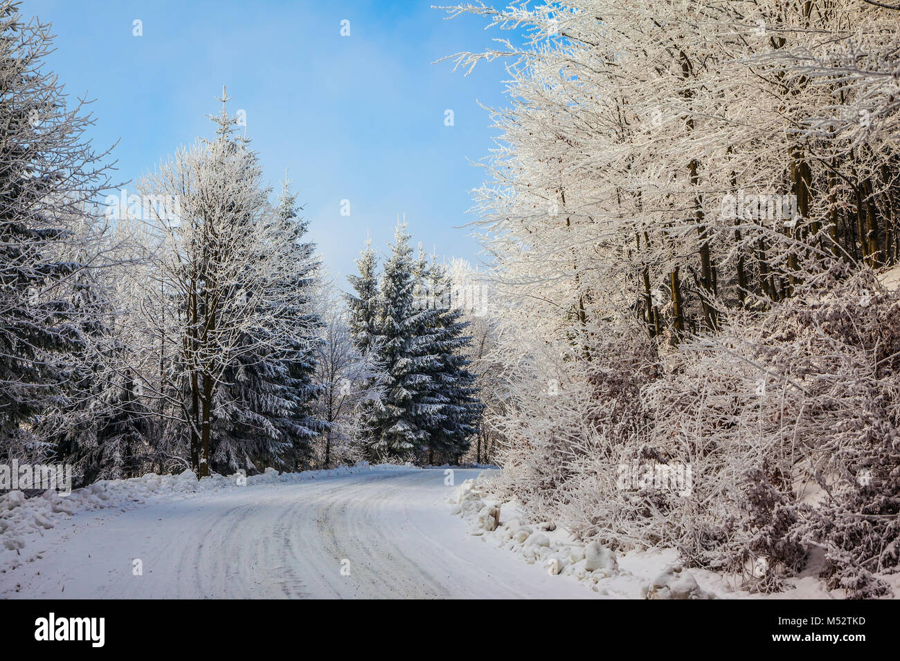 Piste de ski s'étend le long de la route dans la forêt enneigée Banque D'Images