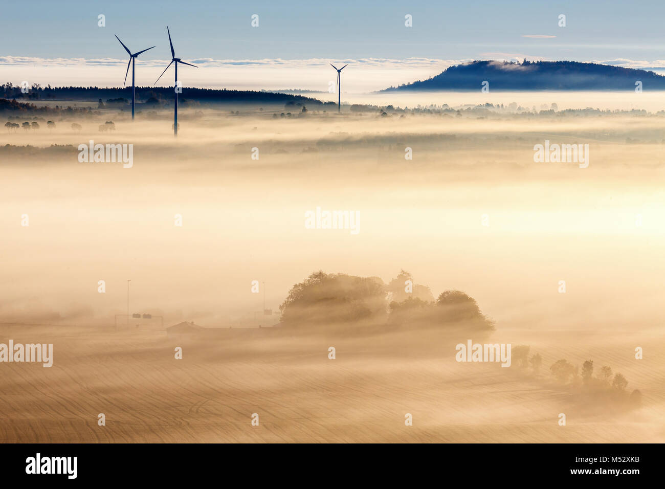 Matin brouillard sur un paysage rural avec des éoliennes Banque D'Images