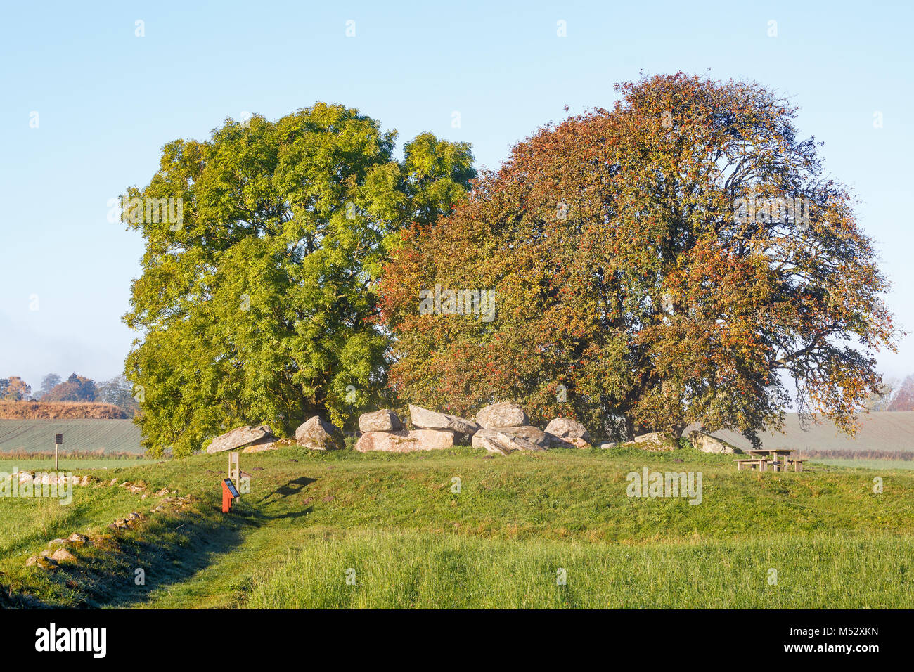 Tombe préhistorique de l'âge de pierre une colline avec des arbres Banque D'Images