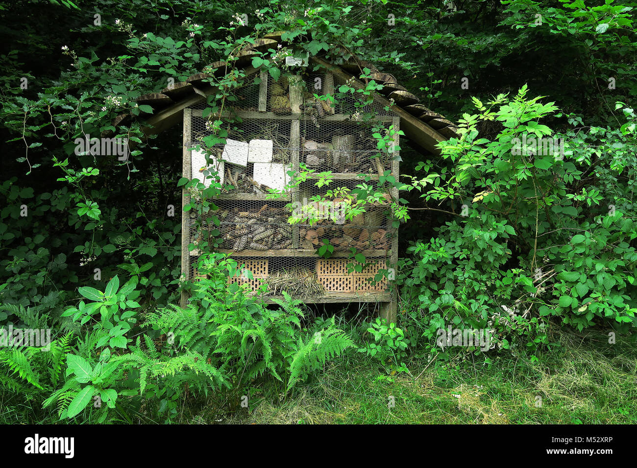 Maison des insectes ; la nidification des insectes Banque D'Images