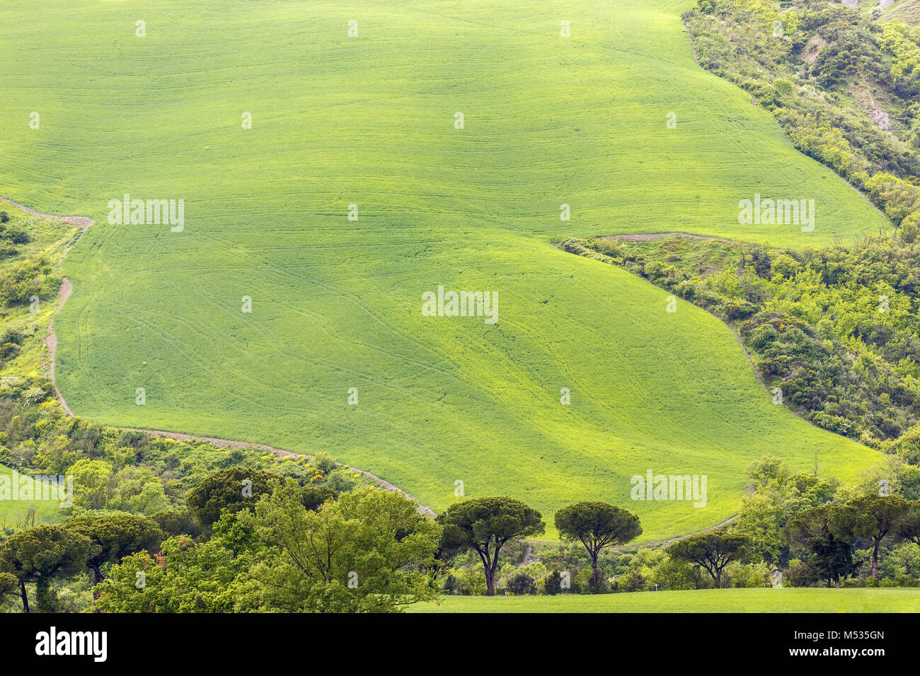 Champs en pente dans une vallée avec des arbres dans la campagne Banque D'Images
