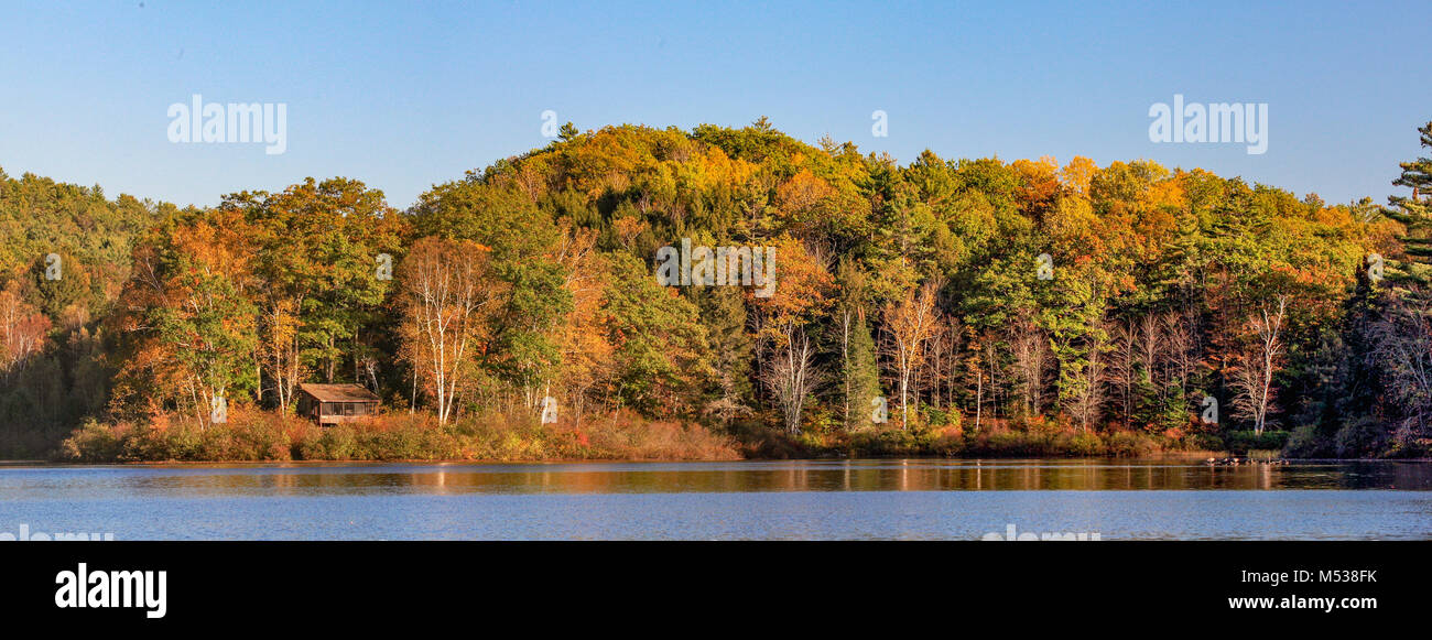 Une scène idyllique d'un petit chalet de villégiature niché dans les arbres forestiers coloré d'automne sur un lac avec les bernaches du Canada à Lisbonne, NH, USA. Banque D'Images