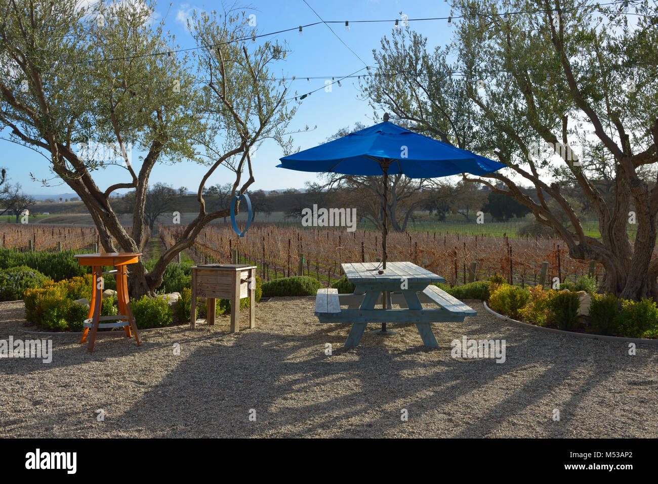 J Dusi Vins, Paso Robles CA Banque D'Images