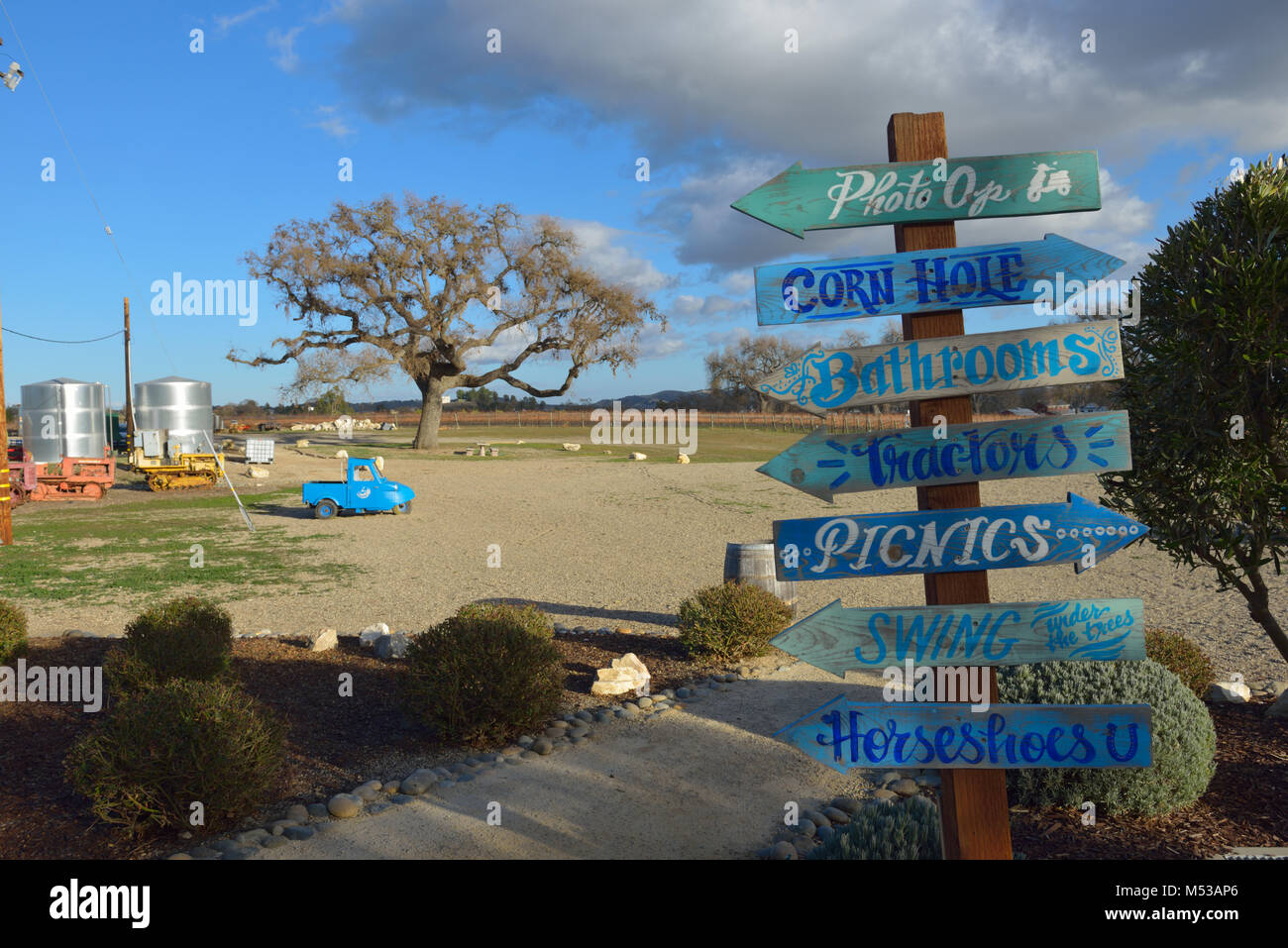 J Dusi Vins, Paso Robles CA Banque D'Images
