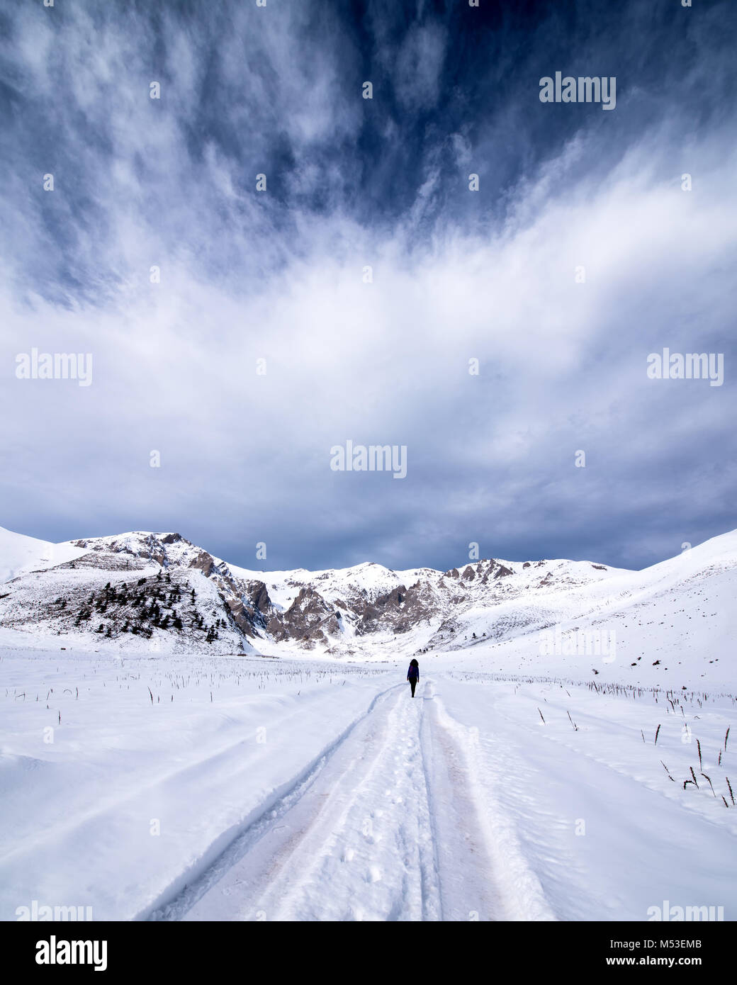 Personne à s'éloigner vers le bas une route d'hiver enneigé à travers champ pays dans un paysage pittoresque du conceptuel saisons. Banque D'Images