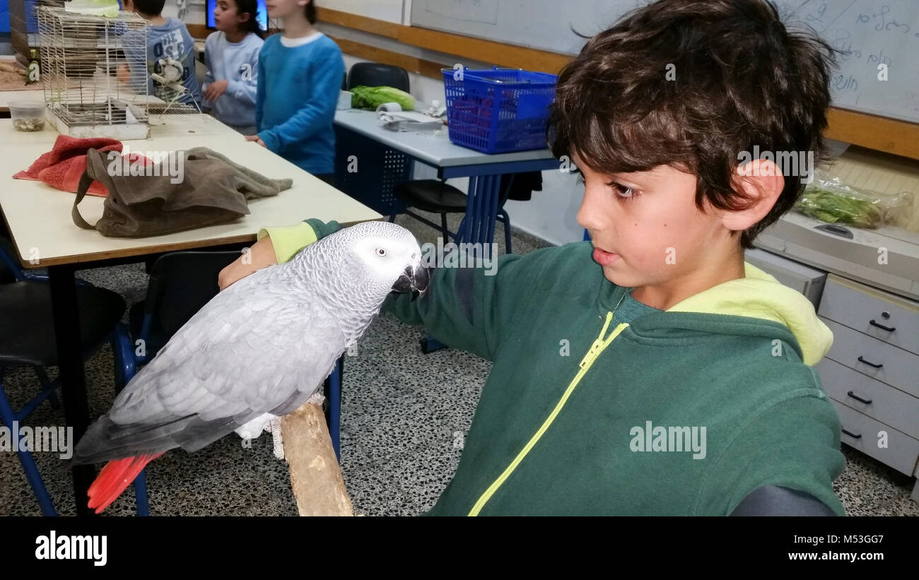 Enfant de l'école élémentaire de l'interaction avec des animaux dans le cadre d'un projet scolaire Banque D'Images