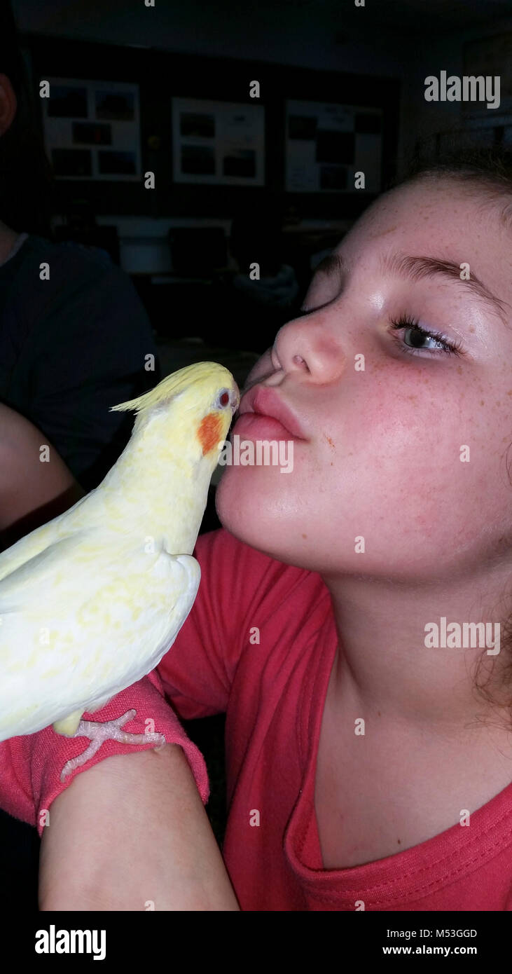 Enfant de l'école élémentaire de l'interaction avec des animaux dans le cadre d'un projet scolaire Banque D'Images