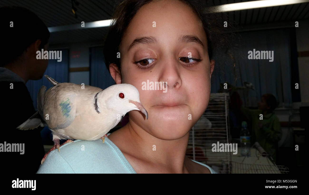 Enfant de l'école élémentaire de l'interaction avec des animaux dans le cadre d'un projet scolaire Banque D'Images
