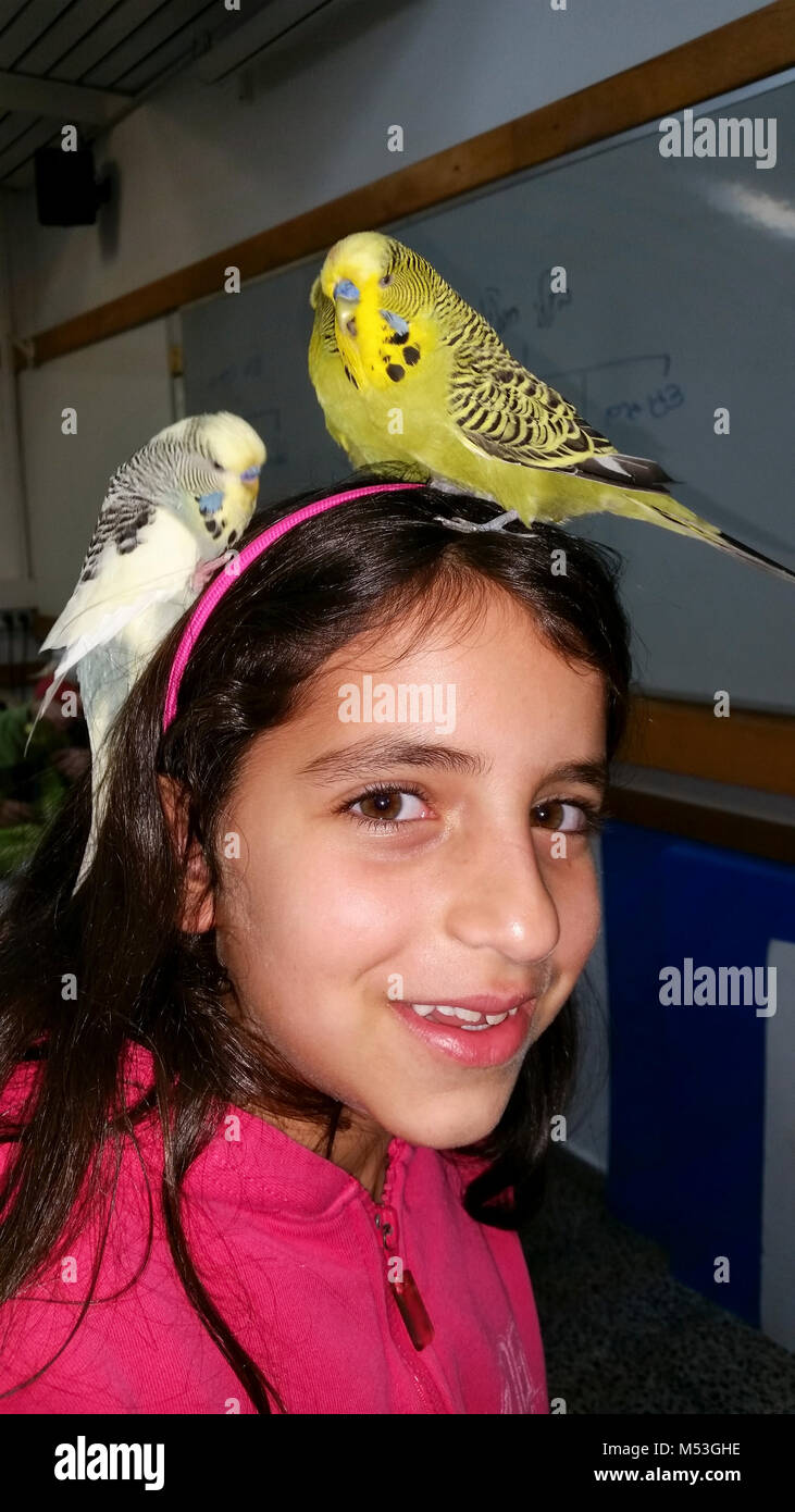 Enfant de l'école élémentaire de l'interaction avec des animaux dans le cadre d'un projet scolaire Banque D'Images