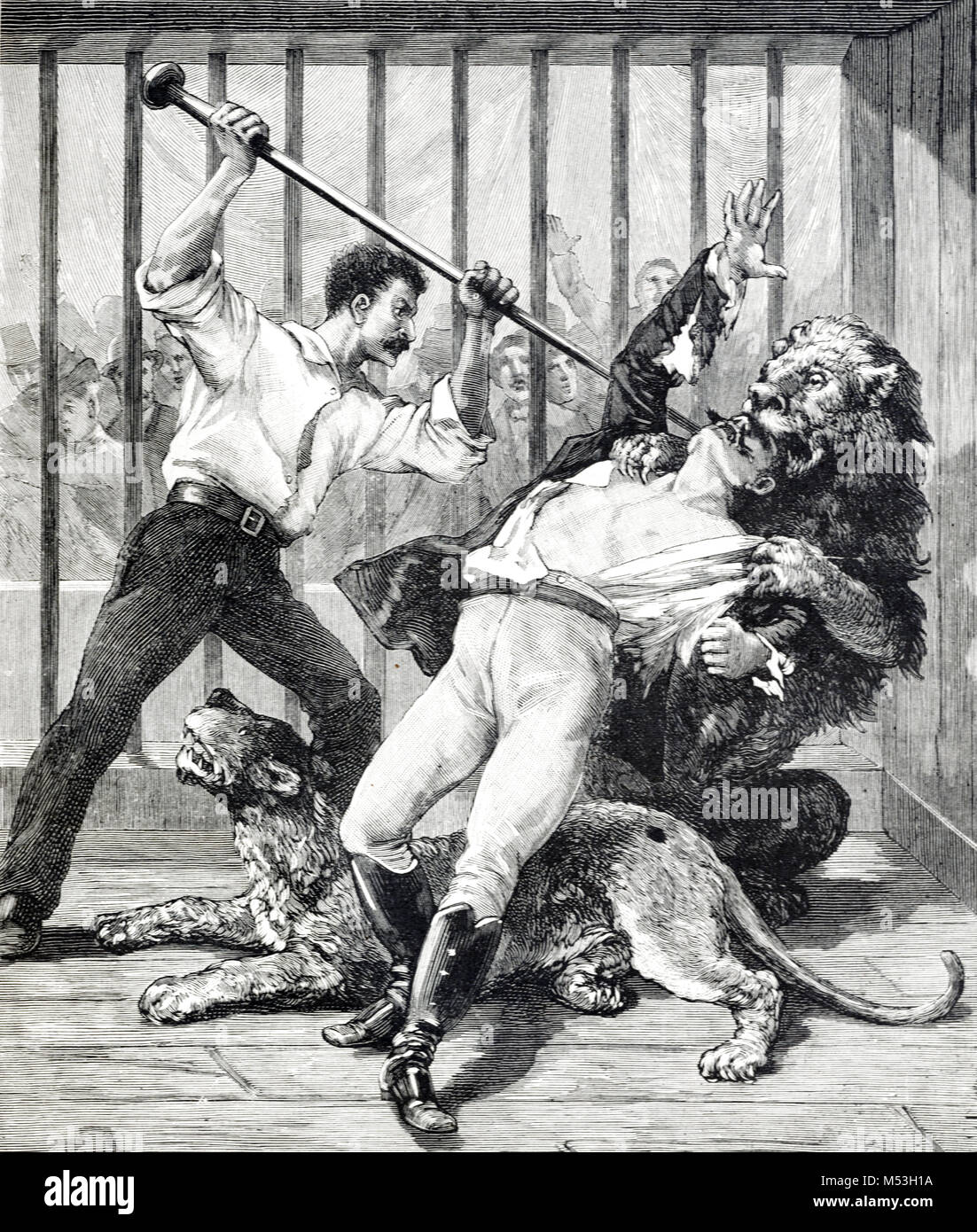 Formateur ou Lion Lion Tamer, M. Lucas, attaqué et tué par Lion dans l'Hippodrome de Paris France (gravure, 1888) Banque D'Images
