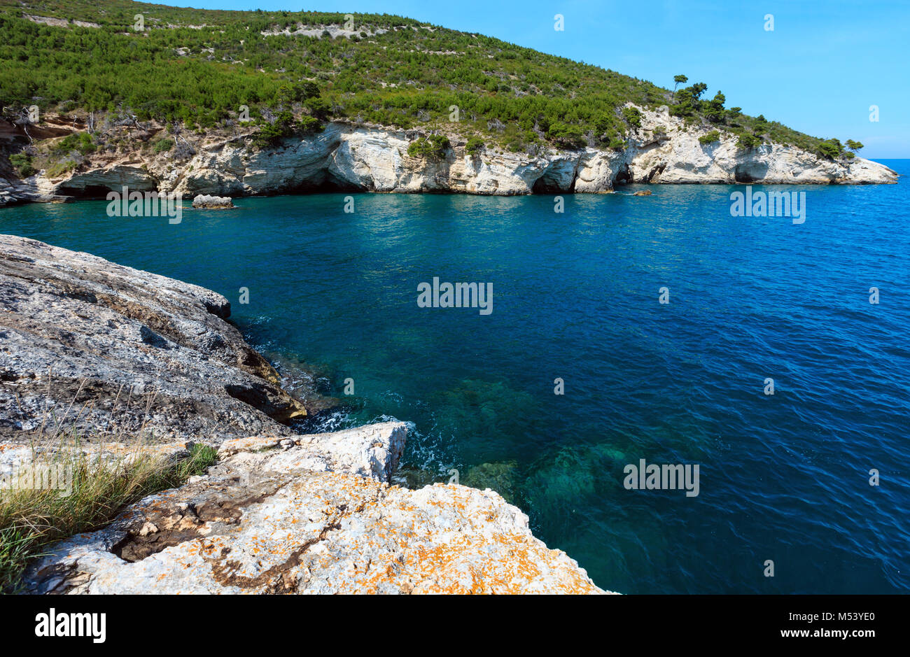 La mer, la côte rocheuse de l'été, Gargano Puglia, Italie Banque D'Images