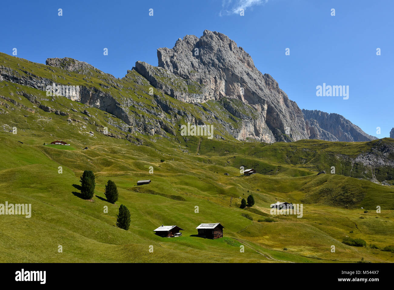 Cols alpins, le Tyrol du Sud, Italie, Parc Naturel Puez Geisler à préserver ; Banque D'Images