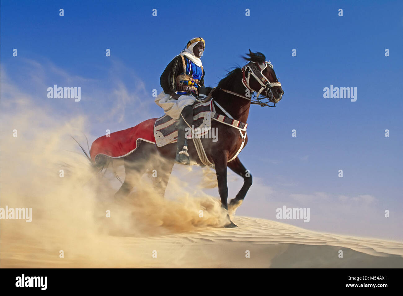 L'Algérie. Près de Touggourt. La Mer de Sable. Grand Erg Oriental. Désert du Sahara. Cheval sur bédouin sur dune de sable au cours du festival. Banque D'Images