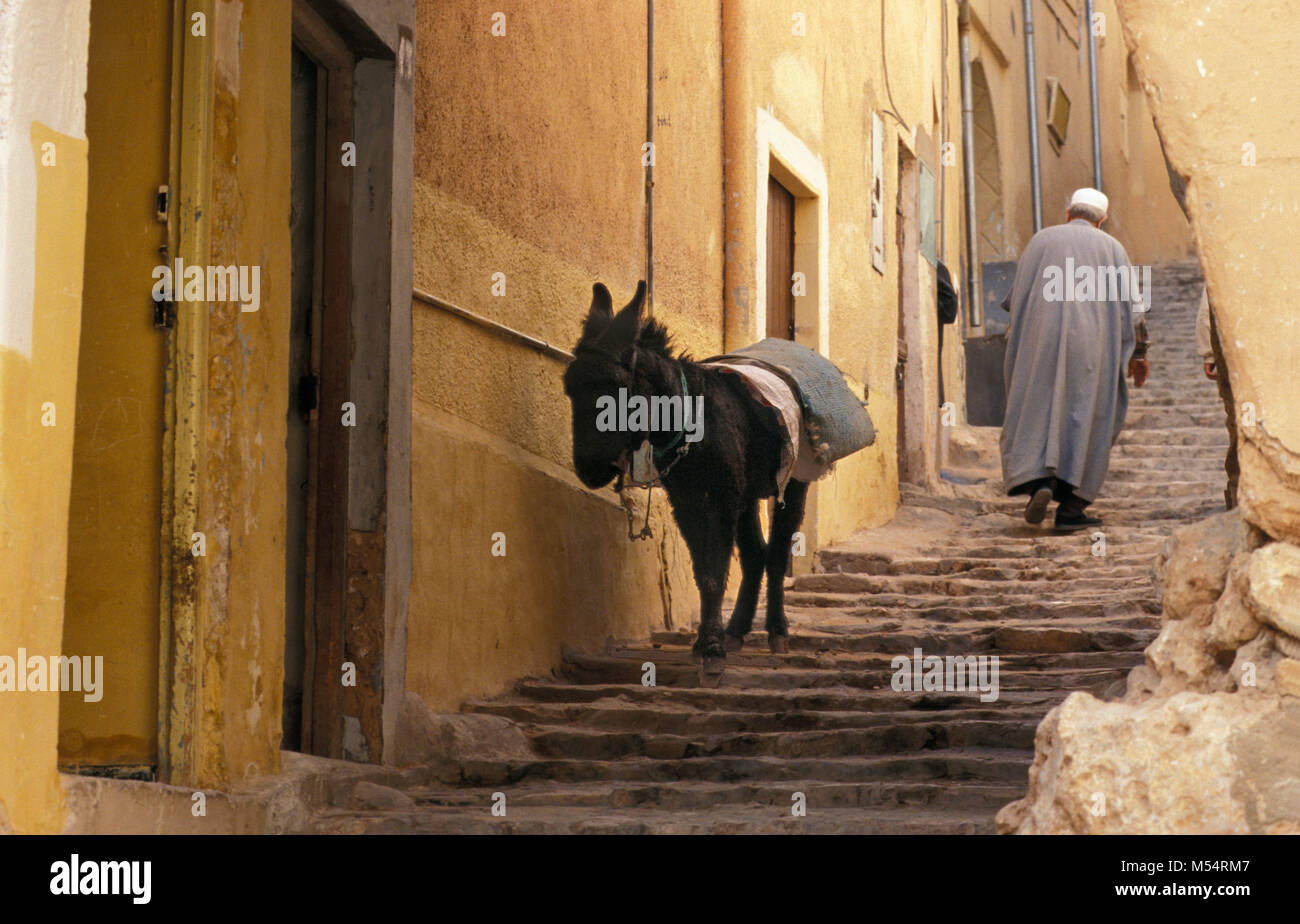 L'Algérie. Ghardaia. Vallée du M'Zab. Désert du Sahara. Oasis. L'homme et de l'âne dans les escaliers dans rue étroite dans le vieux centre-ville Patrimoine Mondial de l'UNESCO Site. Banque D'Images