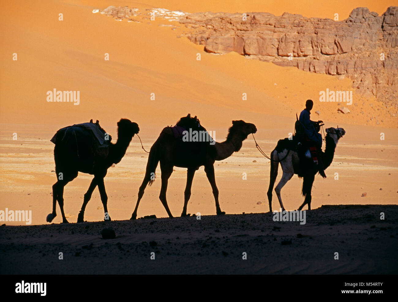 L'Algérie. Près de Djanet. Désert du Sahara. L'homme de tribu Touareg et caravanes de chameaux. Les dunes de sable. Silhouette. Banque D'Images