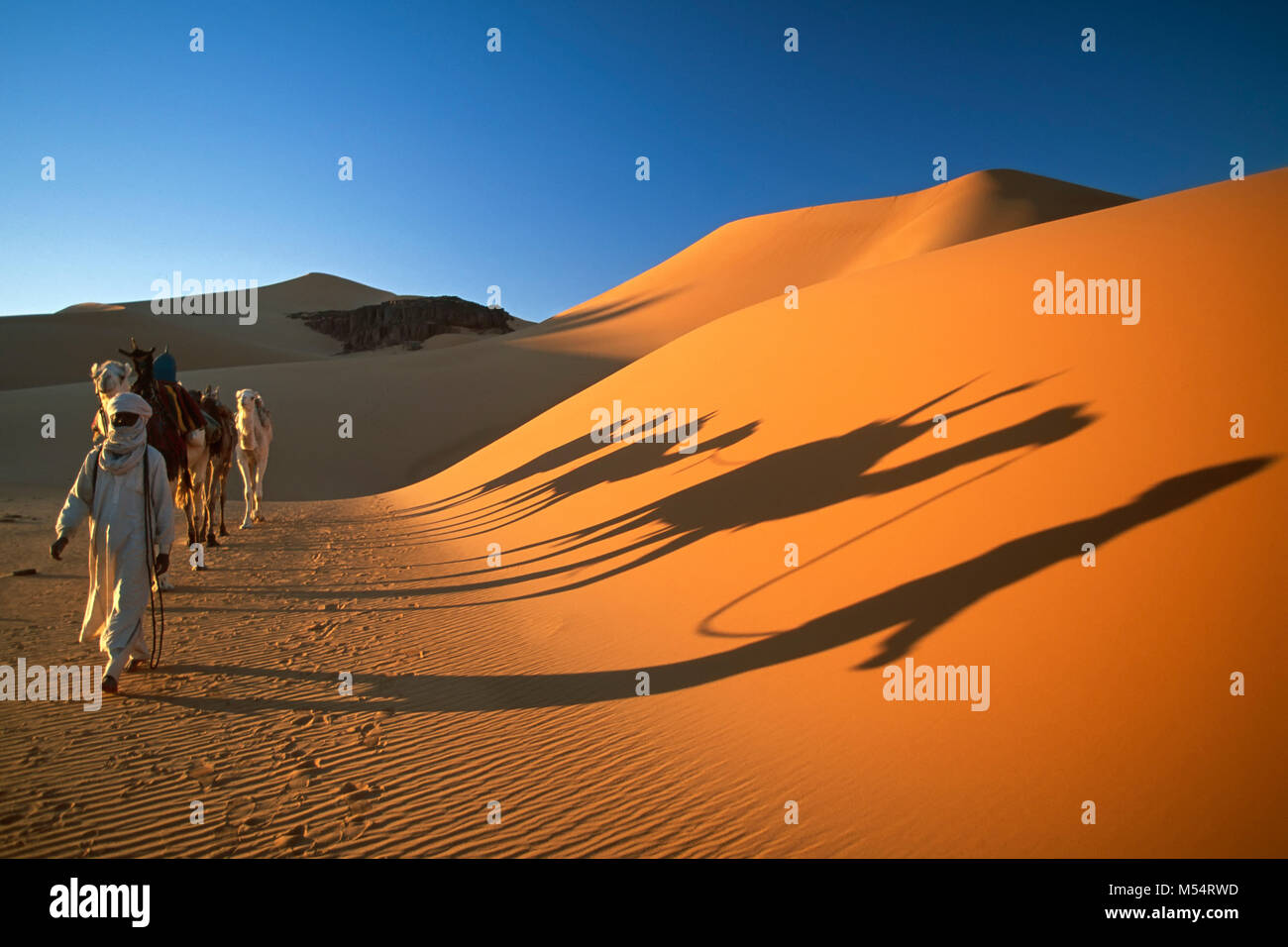 L'Algérie. Près de Djanet. Désert du Sahara. L'homme de tribu Touareg et l'ombre des caravanes de chameaux. Les dunes de sable. Banque D'Images