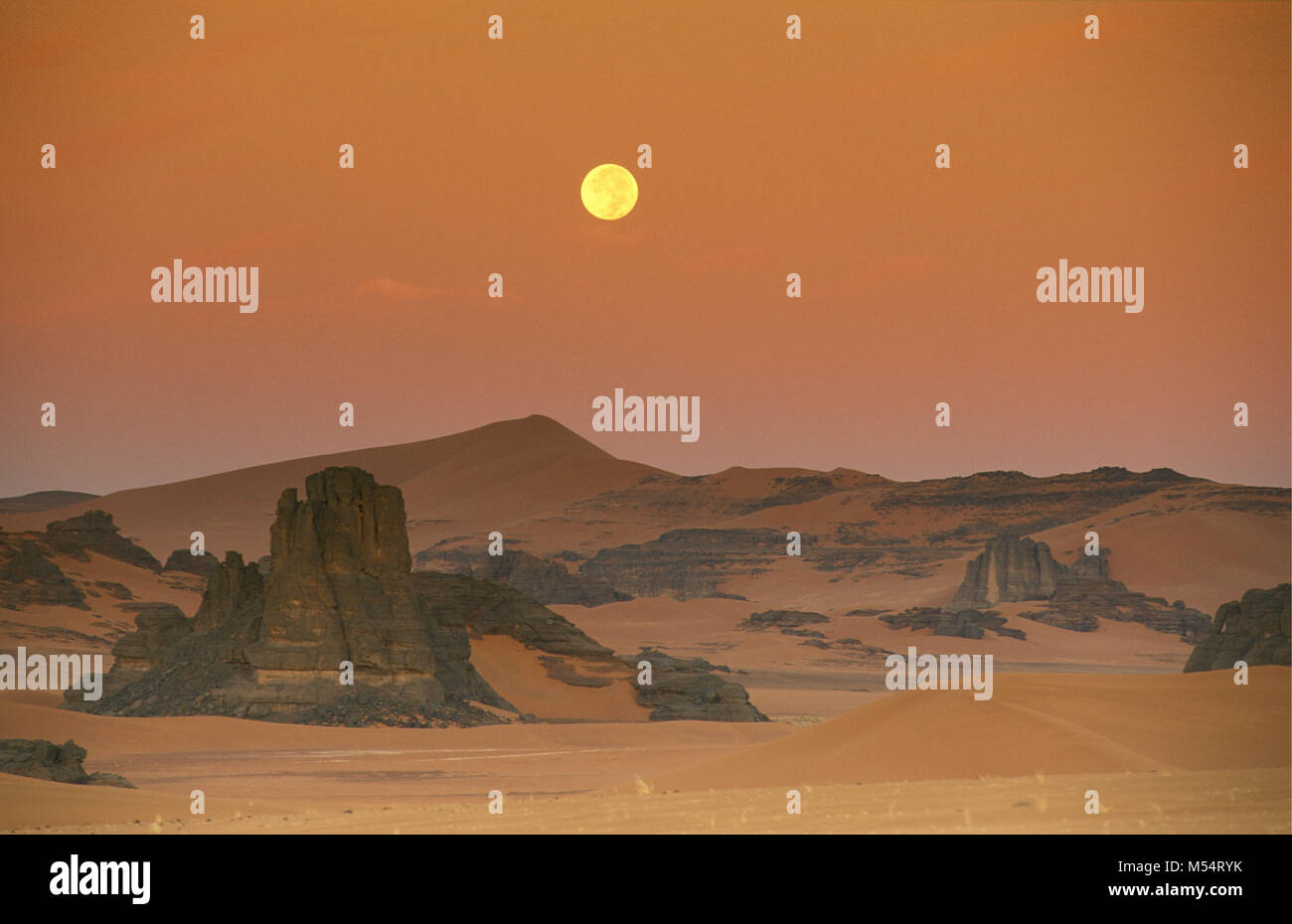 L'Algérie. Près de Djanet. Désert du Sahara. Paysage de la mer de sable et des dunes de sable. Éclairé par la Lune au lever de soleil. Banque D'Images