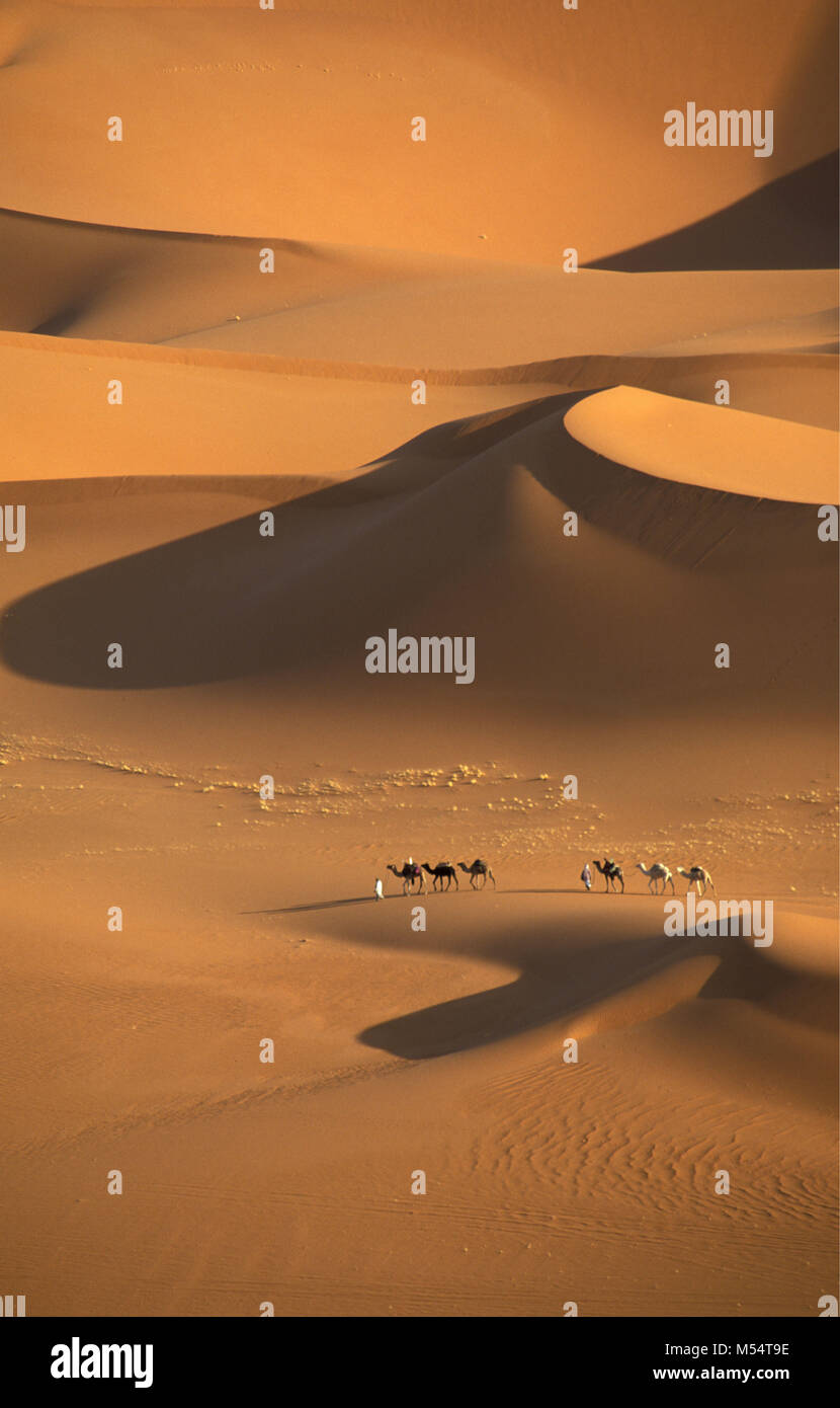 L'Algérie. Près de Djanet. Désert du Sahara. Les hommes de tribu Touareg et caravanes de chameaux. Dunes de sable, mer de sable. Banque D'Images