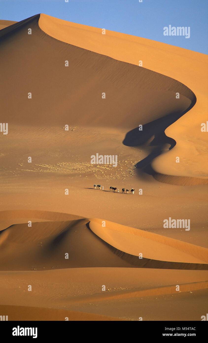 L'Algérie. Près de Djanet. Désert du Sahara. Les hommes de tribu Touareg et caravanes de chameaux. Dunes de sable, mer de sable et rochers. Banque D'Images