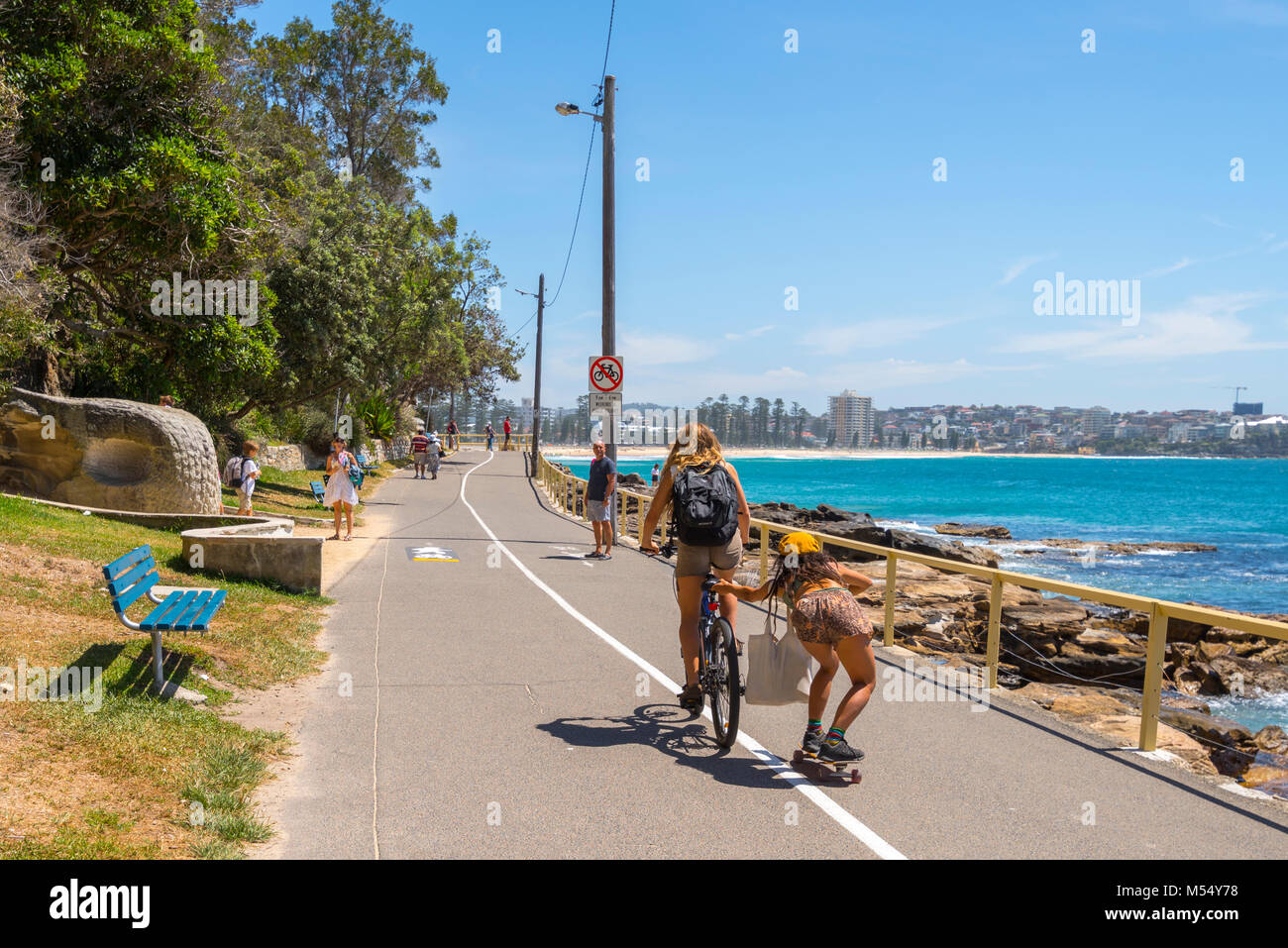 Arbre généalogique chou Bay sur la marche de Manly à Shelly Beach, Sydney, NSW, Australie Banque D'Images