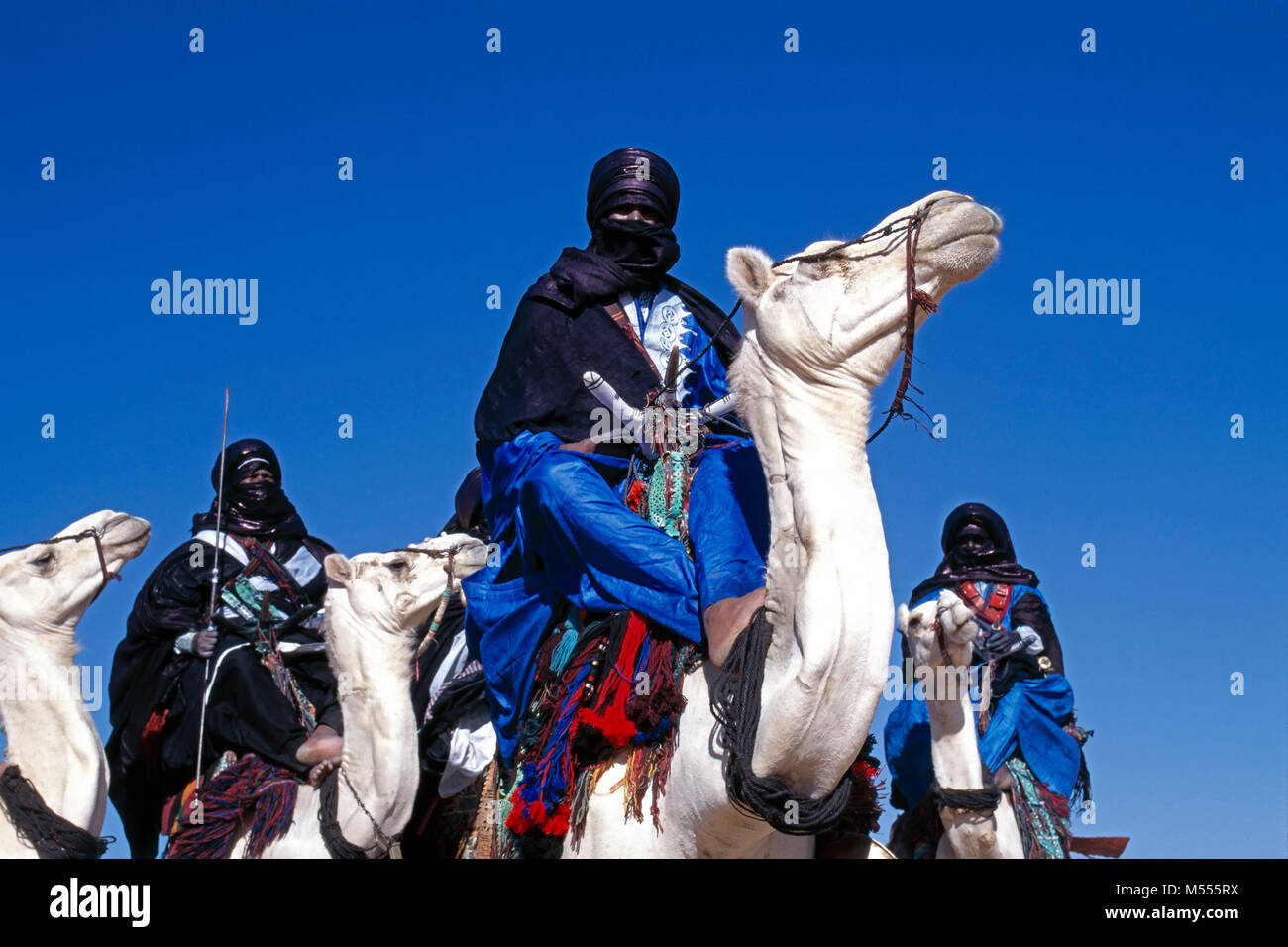 L'Algérie. Près de Tamanrasset. Désert du Sahara. Les hommes de tribu touareg sur leurs chameaux. Turbans bleu indigo. Banque D'Images