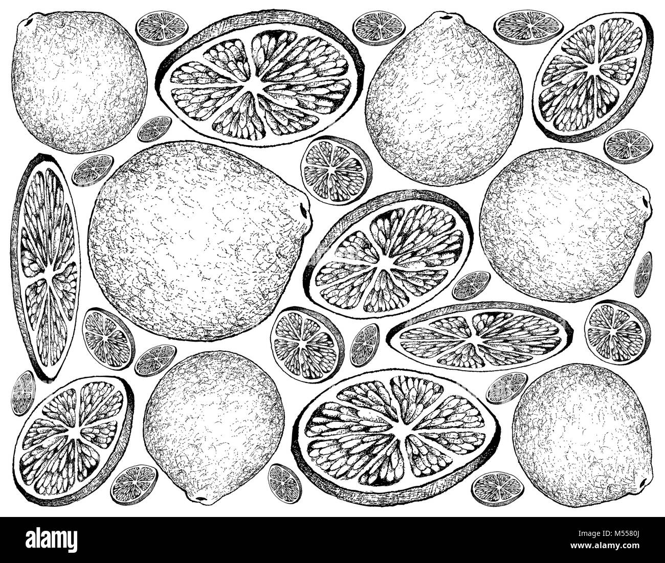 Les fruits tropicaux, Illustration Papier peint fond de croquis dessinés à la main, produits frais et juteux avec Limes mûres Tranche de limes. Banque D'Images