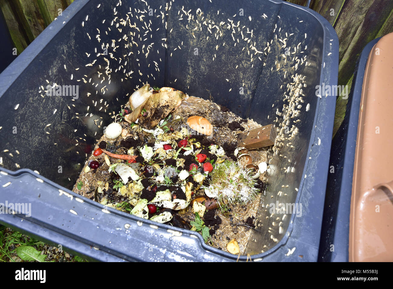 bac à compost Banque D'Images