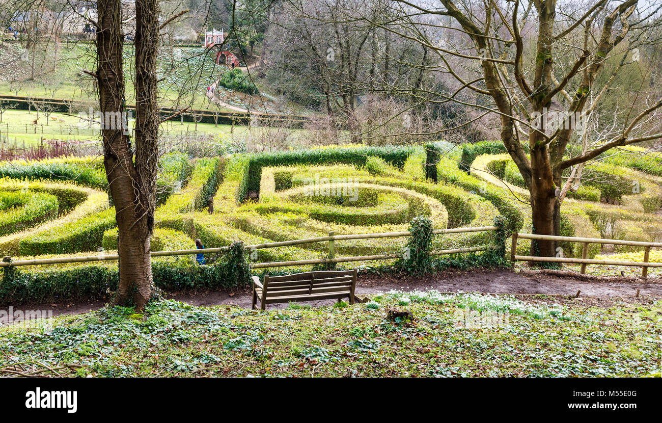 Tourisme la haie de troènes 250 anniversaire labyrinthe de Painswick Rococo Garden, Painswick