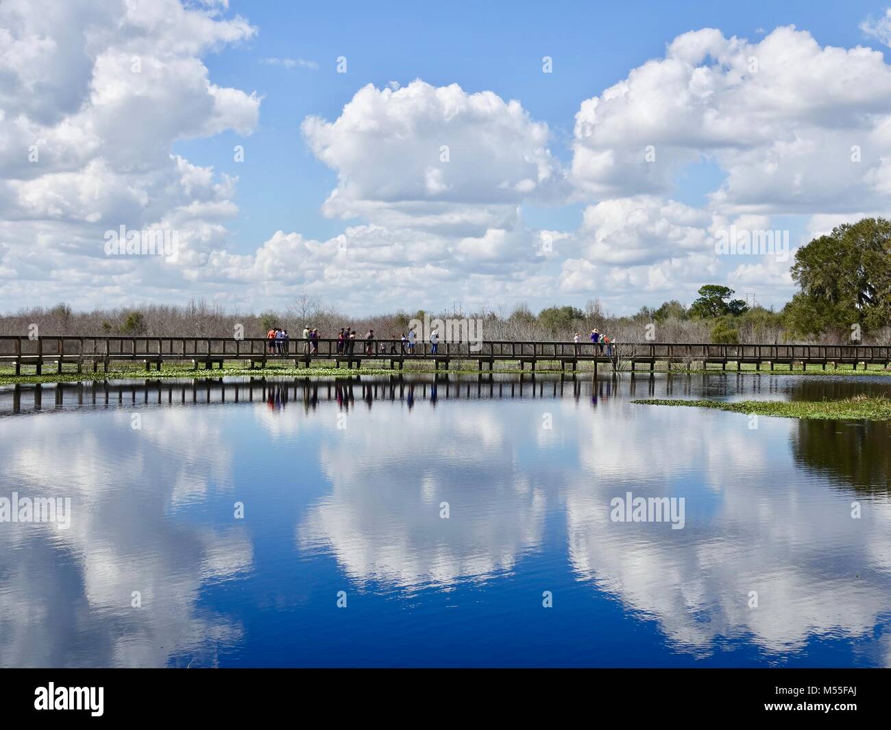 Visiteurs sur le Boardwalk à Paynes Prairie Preserve State Park, avec de gros nuages duveteux reflétant dans l'eau. Gainesville, Floride, USA. Banque D'Images