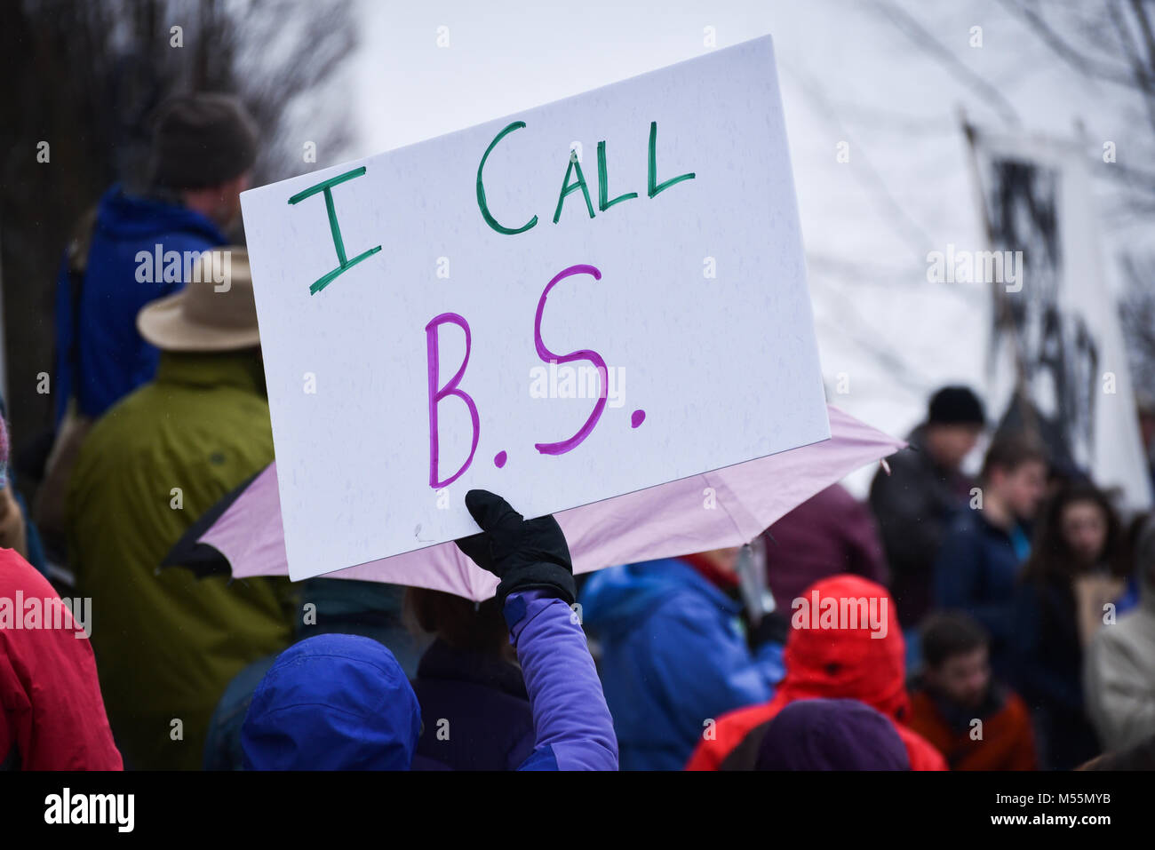 Montpelier, Vermont, USA. 19 Février, 2018. Manifestation contre la violence par arme à feu après le parc, FL, fusillades en milieu scolaire, Vermont State House, Montpelier, VT, USA. Crédit : John Lazenby/Alamy Live News Banque D'Images