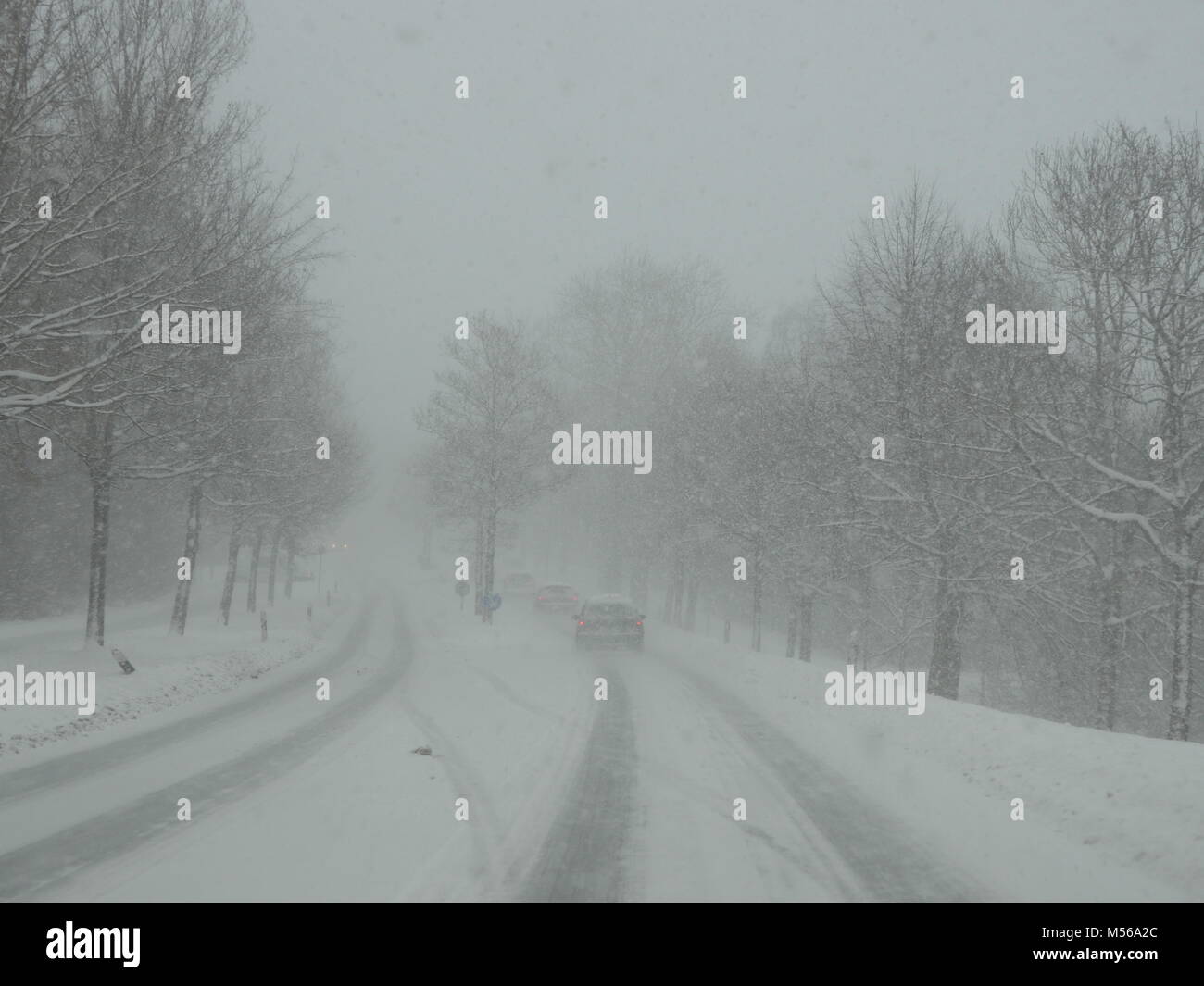 Les voitures qui circulent dans la tempête de neige Banque D'Images