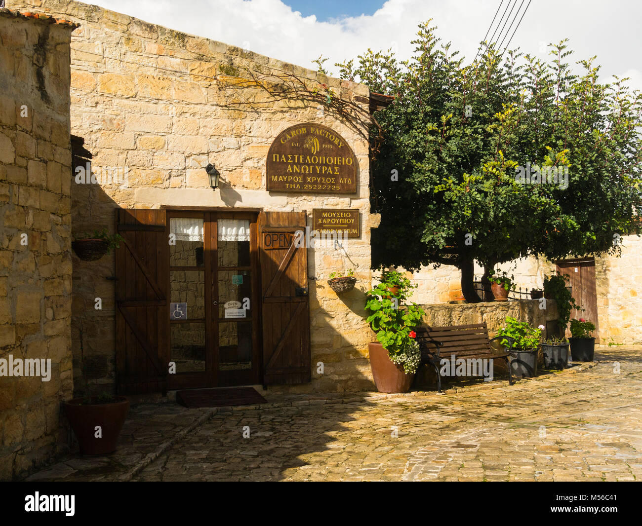 Mavros Chrysos caroubiers Museum à Anogyra Chypre un village de caractère charmant entouré de vergers de caroube une longue tradition de production de caroube en bonne santé Banque D'Images